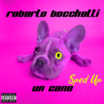 Ascolta "Un cane (Sped Up)" di Roberto Bocchetti