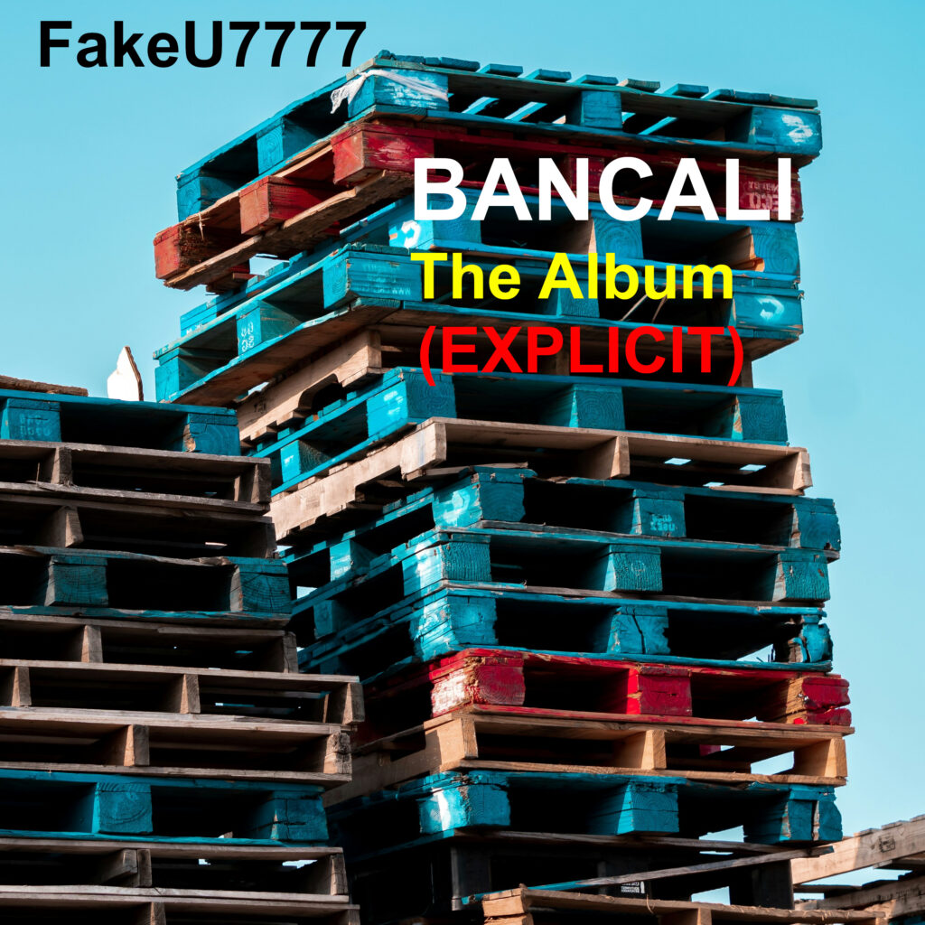 "BANCALI" è il titolo dell'album di debutto in italiano dei FakeU7777